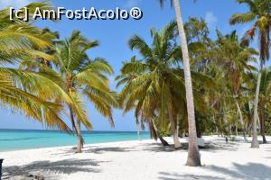 [P03] Insula Saona » foto by Tunader
 - 
<span class="allrVoted glyphicon glyphicon-heart hidden" id="av843637"></span>
<a class="m-l-10 hidden" id="sv843637" onclick="voting_Foto_DelVot(,843637,11587)" role="button">șterge vot <span class="glyphicon glyphicon-remove"></span></a>
<a id="v9843637" class=" c-red"  onclick="voting_Foto_SetVot(843637)" role="button"><span class="glyphicon glyphicon-heart-empty"></span> <b>LIKE</b> = Votează poza</a> <img class="hidden"  id="f843637W9" src="/imagini/loader.gif" border="0" /><span class="AjErrMes hidden" id="e843637ErM"></span>