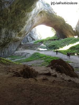 [P38]  -- <small>// FĂRĂ DESCRIERE</small> » foto by ionescunic
 - 
<span class="allrVoted glyphicon glyphicon-heart hidden" id="av366953"></span>
<a class="m-l-10 hidden" id="sv366953" onclick="voting_Foto_DelVot(,366953,11645)" role="button">șterge vot <span class="glyphicon glyphicon-remove"></span></a>
<a id="v9366953" class=" c-red"  onclick="voting_Foto_SetVot(366953)" role="button"><span class="glyphicon glyphicon-heart-empty"></span> <b>LIKE</b> = Votează poza</a> <img class="hidden"  id="f366953W9" src="/imagini/loader.gif" border="0" /><span class="AjErrMes hidden" id="e366953ErM"></span>