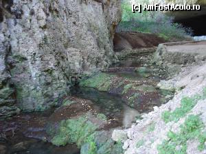 [P42]  -- <small>// FĂRĂ DESCRIERE</small> » foto by ionescunic
 - 
<span class="allrVoted glyphicon glyphicon-heart hidden" id="av366957"></span>
<a class="m-l-10 hidden" id="sv366957" onclick="voting_Foto_DelVot(,366957,11645)" role="button">șterge vot <span class="glyphicon glyphicon-remove"></span></a>
<a id="v9366957" class=" c-red"  onclick="voting_Foto_SetVot(366957)" role="button"><span class="glyphicon glyphicon-heart-empty"></span> <b>LIKE</b> = Votează poza</a> <img class="hidden"  id="f366957W9" src="/imagini/loader.gif" border="0" /><span class="AjErrMes hidden" id="e366957ErM"></span>