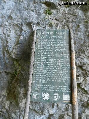 [P52]  -- <small>// FĂRĂ DESCRIERE</small> » foto by ionescunic
 - 
<span class="allrVoted glyphicon glyphicon-heart hidden" id="av366967"></span>
<a class="m-l-10 hidden" id="sv366967" onclick="voting_Foto_DelVot(,366967,11645)" role="button">șterge vot <span class="glyphicon glyphicon-remove"></span></a>
<a id="v9366967" class=" c-red"  onclick="voting_Foto_SetVot(366967)" role="button"><span class="glyphicon glyphicon-heart-empty"></span> <b>LIKE</b> = Votează poza</a> <img class="hidden"  id="f366967W9" src="/imagini/loader.gif" border="0" /><span class="AjErrMes hidden" id="e366967ErM"></span>