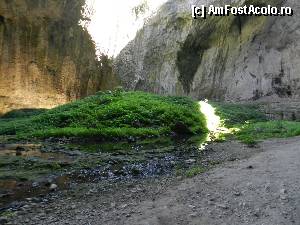 [P59]  -- <small>// FĂRĂ DESCRIERE</small> » foto by ionescunic
 - 
<span class="allrVoted glyphicon glyphicon-heart hidden" id="av366974"></span>
<a class="m-l-10 hidden" id="sv366974" onclick="voting_Foto_DelVot(,366974,11645)" role="button">șterge vot <span class="glyphicon glyphicon-remove"></span></a>
<a id="v9366974" class=" c-red"  onclick="voting_Foto_SetVot(366974)" role="button"><span class="glyphicon glyphicon-heart-empty"></span> <b>LIKE</b> = Votează poza</a> <img class="hidden"  id="f366974W9" src="/imagini/loader.gif" border="0" /><span class="AjErrMes hidden" id="e366974ErM"></span>