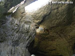 [P64]  -- <small>// FĂRĂ DESCRIERE</small> » foto by ionescunic
 - 
<span class="allrVoted glyphicon glyphicon-heart hidden" id="av366979"></span>
<a class="m-l-10 hidden" id="sv366979" onclick="voting_Foto_DelVot(,366979,11645)" role="button">șterge vot <span class="glyphicon glyphicon-remove"></span></a>
<a id="v9366979" class=" c-red"  onclick="voting_Foto_SetVot(366979)" role="button"><span class="glyphicon glyphicon-heart-empty"></span> <b>LIKE</b> = Votează poza</a> <img class="hidden"  id="f366979W9" src="/imagini/loader.gif" border="0" /><span class="AjErrMes hidden" id="e366979ErM"></span>