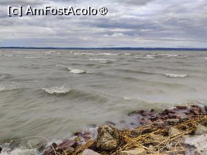 [P69] Lacul Balaton într-o dimineață vântoasă și un pic înnorată » foto by crismis
 - 
<span class="allrVoted glyphicon glyphicon-heart hidden" id="av1502540"></span>
<a class="m-l-10 hidden" id="sv1502540" onclick="voting_Foto_DelVot(,1502540,11696)" role="button">șterge vot <span class="glyphicon glyphicon-remove"></span></a>
<a id="v91502540" class=" c-red"  onclick="voting_Foto_SetVot(1502540)" role="button"><span class="glyphicon glyphicon-heart-empty"></span> <b>LIKE</b> = Votează poza</a> <img class="hidden"  id="f1502540W9" src="/imagini/loader.gif" border="0" /><span class="AjErrMes hidden" id="e1502540ErM"></span>