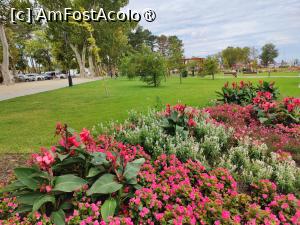 [P71] Siófok, o frumoasă stațiune pe țărmul Balatonului » foto by crismis
 - 
<span class="allrVoted glyphicon glyphicon-heart hidden" id="av1502544"></span>
<a class="m-l-10 hidden" id="sv1502544" onclick="voting_Foto_DelVot(,1502544,11696)" role="button">șterge vot <span class="glyphicon glyphicon-remove"></span></a>
<a id="v91502544" class=" c-red"  onclick="voting_Foto_SetVot(1502544)" role="button"><span class="glyphicon glyphicon-heart-empty"></span> <b>LIKE</b> = Votează poza</a> <img class="hidden"  id="f1502544W9" src="/imagini/loader.gif" border="0" /><span class="AjErrMes hidden" id="e1502544ErM"></span>