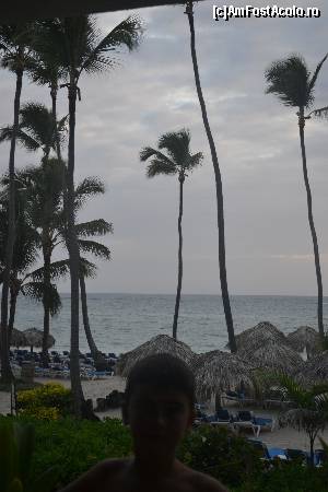 [P19]  -- <small>// FĂRĂ DESCRIERE</small> » foto by alexmara
 - 
<span class="allrVoted glyphicon glyphicon-heart hidden" id="av567117"></span>
<a class="m-l-10 hidden" id="sv567117" onclick="voting_Foto_DelVot(,567117,11752)" role="button">șterge vot <span class="glyphicon glyphicon-remove"></span></a>
<a id="v9567117" class=" c-red"  onclick="voting_Foto_SetVot(567117)" role="button"><span class="glyphicon glyphicon-heart-empty"></span> <b>LIKE</b> = Votează poza</a> <img class="hidden"  id="f567117W9" src="/imagini/loader.gif" border="0" /><span class="AjErrMes hidden" id="e567117ErM"></span>