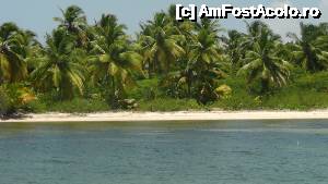 [P13] asa este in salbaticie » foto by adi_adi
 - 
<span class="allrVoted glyphicon glyphicon-heart hidden" id="av479084"></span>
<a class="m-l-10 hidden" id="sv479084" onclick="voting_Foto_DelVot(,479084,11752)" role="button">șterge vot <span class="glyphicon glyphicon-remove"></span></a>
<a id="v9479084" class=" c-red"  onclick="voting_Foto_SetVot(479084)" role="button"><span class="glyphicon glyphicon-heart-empty"></span> <b>LIKE</b> = Votează poza</a> <img class="hidden"  id="f479084W9" src="/imagini/loader.gif" border="0" /><span class="AjErrMes hidden" id="e479084ErM"></span>