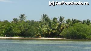 [P14] Iata mai sunt si alti pomi, nu numai palmieri » foto by adi_adi
 - 
<span class="allrVoted glyphicon glyphicon-heart hidden" id="av479085"></span>
<a class="m-l-10 hidden" id="sv479085" onclick="voting_Foto_DelVot(,479085,11752)" role="button">șterge vot <span class="glyphicon glyphicon-remove"></span></a>
<a id="v9479085" class=" c-red"  onclick="voting_Foto_SetVot(479085)" role="button"><span class="glyphicon glyphicon-heart-empty"></span> <b>LIKE</b> = Votează poza</a> <img class="hidden"  id="f479085W9" src="/imagini/loader.gif" border="0" /><span class="AjErrMes hidden" id="e479085ErM"></span>