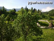 [P01] Vedere de la balconul camerei, in fundal printre brazi Vf Toaca » foto by danastra
 - 
<span class="allrVoted glyphicon glyphicon-heart hidden" id="av329764"></span>
<a class="m-l-10 hidden" id="sv329764" onclick="voting_Foto_DelVot(,329764,11758)" role="button">șterge vot <span class="glyphicon glyphicon-remove"></span></a>
<a id="v9329764" class=" c-red"  onclick="voting_Foto_SetVot(329764)" role="button"><span class="glyphicon glyphicon-heart-empty"></span> <b>LIKE</b> = Votează poza</a> <img class="hidden"  id="f329764W9" src="/imagini/loader.gif" border="0" /><span class="AjErrMes hidden" id="e329764ErM"></span>