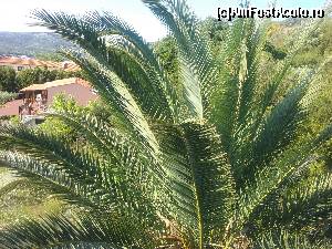 [P05] vedere din balcon » foto by discordia
 - 
<span class="allrVoted glyphicon glyphicon-heart hidden" id="av626995"></span>
<a class="m-l-10 hidden" id="sv626995" onclick="voting_Foto_DelVot(,626995,11788)" role="button">șterge vot <span class="glyphicon glyphicon-remove"></span></a>
<a id="v9626995" class=" c-red"  onclick="voting_Foto_SetVot(626995)" role="button"><span class="glyphicon glyphicon-heart-empty"></span> <b>LIKE</b> = Votează poza</a> <img class="hidden"  id="f626995W9" src="/imagini/loader.gif" border="0" /><span class="AjErrMes hidden" id="e626995ErM"></span>