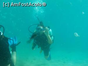 [P05] Scuba Diving » foto by Gabriela P.
 - 
<span class="allrVoted glyphicon glyphicon-heart hidden" id="av1192880"></span>
<a class="m-l-10 hidden" id="sv1192880" onclick="voting_Foto_DelVot(,1192880,11788)" role="button">șterge vot <span class="glyphicon glyphicon-remove"></span></a>
<a id="v91192880" class=" c-red"  onclick="voting_Foto_SetVot(1192880)" role="button"><span class="glyphicon glyphicon-heart-empty"></span> <b>LIKE</b> = Votează poza</a> <img class="hidden"  id="f1192880W9" src="/imagini/loader.gif" border="0" /><span class="AjErrMes hidden" id="e1192880ErM"></span>