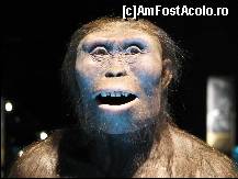 [P16] Statuie de ceara din CosmoCaixa » foto by C05T1N
 - 
<span class="allrVoted glyphicon glyphicon-heart hidden" id="av107501"></span>
<a class="m-l-10 hidden" id="sv107501" onclick="voting_Foto_DelVot(,107501,11796)" role="button">șterge vot <span class="glyphicon glyphicon-remove"></span></a>
<a id="v9107501" class=" c-red"  onclick="voting_Foto_SetVot(107501)" role="button"><span class="glyphicon glyphicon-heart-empty"></span> <b>LIKE</b> = Votează poza</a> <img class="hidden"  id="f107501W9" src="/imagini/loader.gif" border="0" /><span class="AjErrMes hidden" id="e107501ErM"></span>