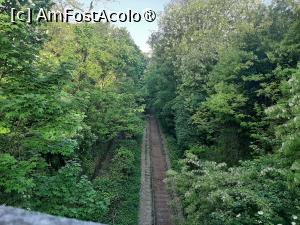 [P10] La Petite Ceinture » foto by adso
 - 
<span class="allrVoted glyphicon glyphicon-heart hidden" id="av1548920"></span>
<a class="m-l-10 hidden" id="sv1548920" onclick="voting_Foto_DelVot(,1548920,11886)" role="button">șterge vot <span class="glyphicon glyphicon-remove"></span></a>
<a id="v91548920" class=" c-red"  onclick="voting_Foto_SetVot(1548920)" role="button"><span class="glyphicon glyphicon-heart-empty"></span> <b>LIKE</b> = Votează poza</a> <img class="hidden"  id="f1548920W9" src="/imagini/loader.gif" border="0" /><span class="AjErrMes hidden" id="e1548920ErM"></span>
