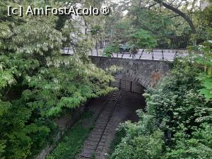 [P07] La Petite Ceinture » foto by adso
 - 
<span class="allrVoted glyphicon glyphicon-heart hidden" id="av1548917"></span>
<a class="m-l-10 hidden" id="sv1548917" onclick="voting_Foto_DelVot(,1548917,11886)" role="button">șterge vot <span class="glyphicon glyphicon-remove"></span></a>
<a id="v91548917" class=" c-red"  onclick="voting_Foto_SetVot(1548917)" role="button"><span class="glyphicon glyphicon-heart-empty"></span> <b>LIKE</b> = Votează poza</a> <img class="hidden"  id="f1548917W9" src="/imagini/loader.gif" border="0" /><span class="AjErrMes hidden" id="e1548917ErM"></span>