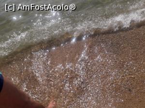 [P20]  -- <small>// FĂRĂ DESCRIERE</small> » foto by Miki72*
 - 
<span class="allrVoted glyphicon glyphicon-heart hidden" id="av1092602"></span>
<a class="m-l-10 hidden" id="sv1092602" onclick="voting_Foto_DelVot(,1092602,11937)" role="button">șterge vot <span class="glyphicon glyphicon-remove"></span></a>
<a id="v91092602" class=" c-red"  onclick="voting_Foto_SetVot(1092602)" role="button"><span class="glyphicon glyphicon-heart-empty"></span> <b>LIKE</b> = Votează poza</a> <img class="hidden"  id="f1092602W9" src="/imagini/loader.gif" border="0" /><span class="AjErrMes hidden" id="e1092602ErM"></span>