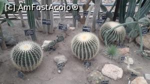 [P26]  -- <small>// FĂRĂ DESCRIERE</small> » foto by Miki72*
 - 
<span class="allrVoted glyphicon glyphicon-heart hidden" id="av1092611"></span>
<a class="m-l-10 hidden" id="sv1092611" onclick="voting_Foto_DelVot(,1092611,11937)" role="button">șterge vot <span class="glyphicon glyphicon-remove"></span></a>
<a id="v91092611" class=" c-red"  onclick="voting_Foto_SetVot(1092611)" role="button"><span class="glyphicon glyphicon-heart-empty"></span> <b>LIKE</b> = Votează poza</a> <img class="hidden"  id="f1092611W9" src="/imagini/loader.gif" border="0" /><span class="AjErrMes hidden" id="e1092611ErM"></span>