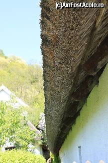 [P14] szigliget, case acoperite cu stuf » foto by adeluna
 - 
<span class="allrVoted glyphicon glyphicon-heart hidden" id="av339417"></span>
<a class="m-l-10 hidden" id="sv339417" onclick="voting_Foto_DelVot(,339417,11982)" role="button">șterge vot <span class="glyphicon glyphicon-remove"></span></a>
<a id="v9339417" class=" c-red"  onclick="voting_Foto_SetVot(339417)" role="button"><span class="glyphicon glyphicon-heart-empty"></span> <b>LIKE</b> = Votează poza</a> <img class="hidden"  id="f339417W9" src="/imagini/loader.gif" border="0" /><span class="AjErrMes hidden" id="e339417ErM"></span>