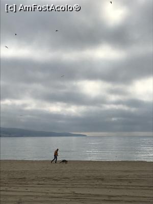 [P01] Plaja din fața hotelului » foto by krisstinna
 - 
<span class="allrVoted glyphicon glyphicon-heart hidden" id="av1066692"></span>
<a class="m-l-10 hidden" id="sv1066692" onclick="voting_Foto_DelVot(,1066692,12002)" role="button">șterge vot <span class="glyphicon glyphicon-remove"></span></a>
<a id="v91066692" class=" c-red"  onclick="voting_Foto_SetVot(1066692)" role="button"><span class="glyphicon glyphicon-heart-empty"></span> <b>LIKE</b> = Votează poza</a> <img class="hidden"  id="f1066692W9" src="/imagini/loader.gif" border="0" /><span class="AjErrMes hidden" id="e1066692ErM"></span>