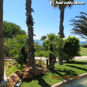 [P02] Parc 1 » foto by Ari
 - 
<span class="allrVoted glyphicon glyphicon-heart hidden" id="av342641"></span>
<a class="m-l-10 hidden" id="sv342641" onclick="voting_Foto_DelVot(,342641,12047)" role="button">șterge vot <span class="glyphicon glyphicon-remove"></span></a>
<a id="v9342641" class=" c-red"  onclick="voting_Foto_SetVot(342641)" role="button"><span class="glyphicon glyphicon-heart-empty"></span> <b>LIKE</b> = Votează poza</a> <img class="hidden"  id="f342641W9" src="/imagini/loader.gif" border="0" /><span class="AjErrMes hidden" id="e342641ErM"></span>