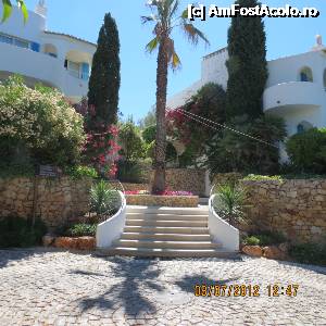 [P03] Exterior » foto by Ari
 - 
<span class="allrVoted glyphicon glyphicon-heart hidden" id="av342648"></span>
<a class="m-l-10 hidden" id="sv342648" onclick="voting_Foto_DelVot(,342648,12047)" role="button">șterge vot <span class="glyphicon glyphicon-remove"></span></a>
<a id="v9342648" class=" c-red"  onclick="voting_Foto_SetVot(342648)" role="button"><span class="glyphicon glyphicon-heart-empty"></span> <b>LIKE</b> = Votează poza</a> <img class="hidden"  id="f342648W9" src="/imagini/loader.gif" border="0" /><span class="AjErrMes hidden" id="e342648ErM"></span>