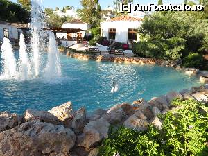 [P04] Lac cu lebede si rate salbatice » foto by Ari
 - 
<span class="allrVoted glyphicon glyphicon-heart hidden" id="av342654"></span>
<a class="m-l-10 hidden" id="sv342654" onclick="voting_Foto_DelVot(,342654,12047)" role="button">șterge vot <span class="glyphicon glyphicon-remove"></span></a>
<a id="v9342654" class=" c-red"  onclick="voting_Foto_SetVot(342654)" role="button"><span class="glyphicon glyphicon-heart-empty"></span> <b>LIKE</b> = Votează poza</a> <img class="hidden"  id="f342654W9" src="/imagini/loader.gif" border="0" /><span class="AjErrMes hidden" id="e342654ErM"></span>