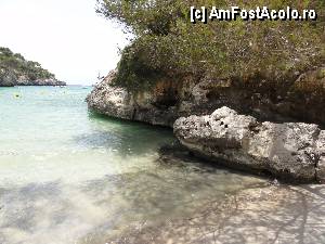 [P04]  -- <small>// FĂRĂ DESCRIERE</small> » foto by skumppika
 - 
<span class="allrVoted glyphicon glyphicon-heart hidden" id="av352815"></span>
<a class="m-l-10 hidden" id="sv352815" onclick="voting_Foto_DelVot(,352815,12083)" role="button">șterge vot <span class="glyphicon glyphicon-remove"></span></a>
<a id="v9352815" class=" c-red"  onclick="voting_Foto_SetVot(352815)" role="button"><span class="glyphicon glyphicon-heart-empty"></span> <b>LIKE</b> = Votează poza</a> <img class="hidden"  id="f352815W9" src="/imagini/loader.gif" border="0" /><span class="AjErrMes hidden" id="e352815ErM"></span>