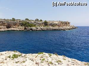 [P07]  -- <small>// FĂRĂ DESCRIERE</small> » foto by skumppika
 - 
<span class="allrVoted glyphicon glyphicon-heart hidden" id="av352818"></span>
<a class="m-l-10 hidden" id="sv352818" onclick="voting_Foto_DelVot(,352818,12083)" role="button">șterge vot <span class="glyphicon glyphicon-remove"></span></a>
<a id="v9352818" class=" c-red"  onclick="voting_Foto_SetVot(352818)" role="button"><span class="glyphicon glyphicon-heart-empty"></span> <b>LIKE</b> = Votează poza</a> <img class="hidden"  id="f352818W9" src="/imagini/loader.gif" border="0" /><span class="AjErrMes hidden" id="e352818ErM"></span>