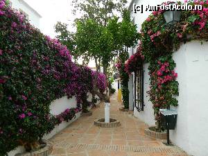 [P12]  -- <small>// FĂRĂ DESCRIERE</small> » foto by Dabator
 - 
<span class="allrVoted glyphicon glyphicon-heart hidden" id="av344527"></span>
<a class="m-l-10 hidden" id="sv344527" onclick="voting_Foto_DelVot(,344527,12088)" role="button">șterge vot <span class="glyphicon glyphicon-remove"></span></a>
<a id="v9344527" class=" c-red"  onclick="voting_Foto_SetVot(344527)" role="button"><span class="glyphicon glyphicon-heart-empty"></span> <b>LIKE</b> = Votează poza</a> <img class="hidden"  id="f344527W9" src="/imagini/loader.gif" border="0" /><span class="AjErrMes hidden" id="e344527ErM"></span>