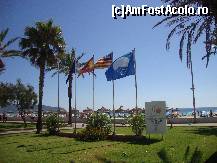 [P28] blue flag » foto by gabriel2007
 - 
<span class="allrVoted glyphicon glyphicon-heart hidden" id="av344818"></span>
<a class="m-l-10 hidden" id="sv344818" onclick="voting_Foto_DelVot(,344818,12099)" role="button">șterge vot <span class="glyphicon glyphicon-remove"></span></a>
<a id="v9344818" class=" c-red"  onclick="voting_Foto_SetVot(344818)" role="button"><span class="glyphicon glyphicon-heart-empty"></span> <b>LIKE</b> = Votează poza</a> <img class="hidden"  id="f344818W9" src="/imagini/loader.gif" border="0" /><span class="AjErrMes hidden" id="e344818ErM"></span>