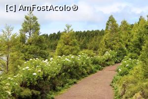 [P49] Insula Sao Miguel, Circuitul Serra Devassa oferă turiștilor și hortensii » foto by mprofeanu
 - 
<span class="allrVoted glyphicon glyphicon-heart hidden" id="av1015222"></span>
<a class="m-l-10 hidden" id="sv1015222" onclick="voting_Foto_DelVot(,1015222,12102)" role="button">șterge vot <span class="glyphicon glyphicon-remove"></span></a>
<a id="v91015222" class=" c-red"  onclick="voting_Foto_SetVot(1015222)" role="button"><span class="glyphicon glyphicon-heart-empty"></span> <b>LIKE</b> = Votează poza</a> <img class="hidden"  id="f1015222W9" src="/imagini/loader.gif" border="0" /><span class="AjErrMes hidden" id="e1015222ErM"></span>