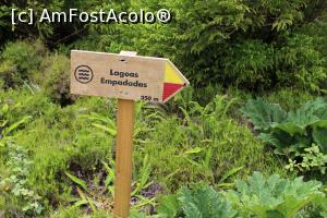 [P51] Insula Sao Miguel, Circuitul Serra Devassa este bine marcat cu indicatoare și semnul galben-roșu » foto by mprofeanu
 - 
<span class="allrVoted glyphicon glyphicon-heart hidden" id="av1015224"></span>
<a class="m-l-10 hidden" id="sv1015224" onclick="voting_Foto_DelVot(,1015224,12102)" role="button">șterge vot <span class="glyphicon glyphicon-remove"></span></a>
<a id="v91015224" class=" c-red"  onclick="voting_Foto_SetVot(1015224)" role="button"><span class="glyphicon glyphicon-heart-empty"></span> <b>LIKE</b> = Votează poza</a> <img class="hidden"  id="f1015224W9" src="/imagini/loader.gif" border="0" /><span class="AjErrMes hidden" id="e1015224ErM"></span>