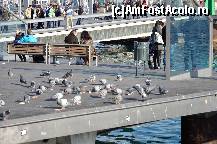 [P11] Numerosi pobumbei in Port Vell » foto by Muffin2009*
 - 
<span class="allrVoted glyphicon glyphicon-heart hidden" id="av349872"></span>
<a class="m-l-10 hidden" id="sv349872" onclick="voting_Foto_DelVot(,349872,12198)" role="button">șterge vot <span class="glyphicon glyphicon-remove"></span></a>
<a id="v9349872" class=" c-red"  onclick="voting_Foto_SetVot(349872)" role="button"><span class="glyphicon glyphicon-heart-empty"></span> <b>LIKE</b> = Votează poza</a> <img class="hidden"  id="f349872W9" src="/imagini/loader.gif" border="0" /><span class="AjErrMes hidden" id="e349872ErM"></span>