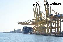 [P27] Un vas de marfa » foto by Muffin2009*
 - 
<span class="allrVoted glyphicon glyphicon-heart hidden" id="av349888"></span>
<a class="m-l-10 hidden" id="sv349888" onclick="voting_Foto_DelVot(,349888,12198)" role="button">șterge vot <span class="glyphicon glyphicon-remove"></span></a>
<a id="v9349888" class=" c-red"  onclick="voting_Foto_SetVot(349888)" role="button"><span class="glyphicon glyphicon-heart-empty"></span> <b>LIKE</b> = Votează poza</a> <img class="hidden"  id="f349888W9" src="/imagini/loader.gif" border="0" /><span class="AjErrMes hidden" id="e349888ErM"></span>