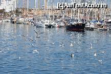 [P44] Pescarusii din Port vell » foto by Muffin2009*
 - 
<span class="allrVoted glyphicon glyphicon-heart hidden" id="av349932"></span>
<a class="m-l-10 hidden" id="sv349932" onclick="voting_Foto_DelVot(,349932,12198)" role="button">șterge vot <span class="glyphicon glyphicon-remove"></span></a>
<a id="v9349932" class=" c-red"  onclick="voting_Foto_SetVot(349932)" role="button"><span class="glyphicon glyphicon-heart-empty"></span> <b>LIKE</b> = Votează poza</a> <img class="hidden"  id="f349932W9" src="/imagini/loader.gif" border="0" /><span class="AjErrMes hidden" id="e349932ErM"></span>