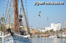 [P45] Port vell » foto by Muffin2009*
 - 
<span class="allrVoted glyphicon glyphicon-heart hidden" id="av349934"></span>
<a class="m-l-10 hidden" id="sv349934" onclick="voting_Foto_DelVot(,349934,12198)" role="button">șterge vot <span class="glyphicon glyphicon-remove"></span></a>
<a id="v9349934" class=" c-red"  onclick="voting_Foto_SetVot(349934)" role="button"><span class="glyphicon glyphicon-heart-empty"></span> <b>LIKE</b> = Votează poza</a> <img class="hidden"  id="f349934W9" src="/imagini/loader.gif" border="0" /><span class="AjErrMes hidden" id="e349934ErM"></span>