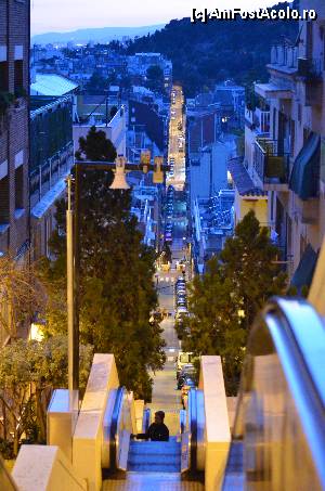 [P106] Urcusul catre Parc Guell » foto by Muffin2009*
 - 
<span class="allrVoted glyphicon glyphicon-heart hidden" id="av350200"></span>
<a class="m-l-10 hidden" id="sv350200" onclick="voting_Foto_DelVot(,350200,12198)" role="button">șterge vot <span class="glyphicon glyphicon-remove"></span></a>
<a id="v9350200" class=" c-red"  onclick="voting_Foto_SetVot(350200)" role="button"><span class="glyphicon glyphicon-heart-empty"></span> <b>LIKE</b> = Votează poza</a> <img class="hidden"  id="f350200W9" src="/imagini/loader.gif" border="0" /><span class="AjErrMes hidden" id="e350200ErM"></span>