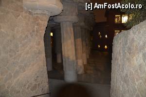 [P115] Parc Guell, ne indreptam spre soparla » foto by Muffin2009*
 - 
<span class="allrVoted glyphicon glyphicon-heart hidden" id="av350215"></span>
<a class="m-l-10 hidden" id="sv350215" onclick="voting_Foto_DelVot(,350215,12198)" role="button">șterge vot <span class="glyphicon glyphicon-remove"></span></a>
<a id="v9350215" class=" c-red"  onclick="voting_Foto_SetVot(350215)" role="button"><span class="glyphicon glyphicon-heart-empty"></span> <b>LIKE</b> = Votează poza</a> <img class="hidden"  id="f350215W9" src="/imagini/loader.gif" border="0" /><span class="AjErrMes hidden" id="e350215ErM"></span>