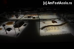 [P73] Aici se explica de unde s-a inspirat Gaudi pentru a construi formele rotunde ale arcadelor » foto by Muffin2009*
 - 
<span class="allrVoted glyphicon glyphicon-heart hidden" id="av350160"></span>
<a class="m-l-10 hidden" id="sv350160" onclick="voting_Foto_DelVot(,350160,12198)" role="button">șterge vot <span class="glyphicon glyphicon-remove"></span></a>
<a id="v9350160" class=" c-red"  onclick="voting_Foto_SetVot(350160)" role="button"><span class="glyphicon glyphicon-heart-empty"></span> <b>LIKE</b> = Votează poza</a> <img class="hidden"  id="f350160W9" src="/imagini/loader.gif" border="0" /><span class="AjErrMes hidden" id="e350160ErM"></span>