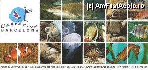 [P108] Biletul la Aquarium » foto by Muffin2009*
 - 
<span class="allrVoted glyphicon glyphicon-heart hidden" id="av350543"></span>
<a class="m-l-10 hidden" id="sv350543" onclick="voting_Foto_DelVot(,350543,12198)" role="button">șterge vot <span class="glyphicon glyphicon-remove"></span></a>
<a id="v9350543" class=" c-red"  onclick="voting_Foto_SetVot(350543)" role="button"><span class="glyphicon glyphicon-heart-empty"></span> <b>LIKE</b> = Votează poza</a> <img class="hidden"  id="f350543W9" src="/imagini/loader.gif" border="0" /><span class="AjErrMes hidden" id="e350543ErM"></span>