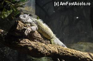 [P88] Aquarium de Barcelona » foto by Muffin2009*
 - 
<span class="allrVoted glyphicon glyphicon-heart hidden" id="av350514"></span>
<a class="m-l-10 hidden" id="sv350514" onclick="voting_Foto_DelVot(,350514,12198)" role="button">șterge vot <span class="glyphicon glyphicon-remove"></span></a>
<a id="v9350514" class=" c-red"  onclick="voting_Foto_SetVot(350514)" role="button"><span class="glyphicon glyphicon-heart-empty"></span> <b>LIKE</b> = Votează poza</a> <img class="hidden"  id="f350514W9" src="/imagini/loader.gif" border="0" /><span class="AjErrMes hidden" id="e350514ErM"></span>