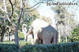 [P10] Mamutul de la spate » foto by Muffin2009*
 - 
<span class="allrVoted glyphicon glyphicon-heart hidden" id="av350715"></span>
<a class="m-l-10 hidden" id="sv350715" onclick="voting_Foto_DelVot(,350715,12198)" role="button">șterge vot <span class="glyphicon glyphicon-remove"></span></a>
<a id="v9350715" class=" c-red"  onclick="voting_Foto_SetVot(350715)" role="button"><span class="glyphicon glyphicon-heart-empty"></span> <b>LIKE</b> = Votează poza</a> <img class="hidden"  id="f350715W9" src="/imagini/loader.gif" border="0" /><span class="AjErrMes hidden" id="e350715ErM"></span>