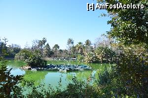 [P11] Lacul, Parc de la Ciutadella » foto by Muffin2009*
 - 
<span class="allrVoted glyphicon glyphicon-heart hidden" id="av350718"></span>
<a class="m-l-10 hidden" id="sv350718" onclick="voting_Foto_DelVot(,350718,12198)" role="button">șterge vot <span class="glyphicon glyphicon-remove"></span></a>
<a id="v9350718" class=" c-red"  onclick="voting_Foto_SetVot(350718)" role="button"><span class="glyphicon glyphicon-heart-empty"></span> <b>LIKE</b> = Votează poza</a> <img class="hidden"  id="f350718W9" src="/imagini/loader.gif" border="0" /><span class="AjErrMes hidden" id="e350718ErM"></span>