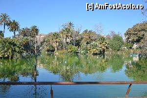 [P12] Lacul Parcului de la Ciutadella » foto by Muffin2009*
 - 
<span class="allrVoted glyphicon glyphicon-heart hidden" id="av350720"></span>
<a class="m-l-10 hidden" id="sv350720" onclick="voting_Foto_DelVot(,350720,12198)" role="button">șterge vot <span class="glyphicon glyphicon-remove"></span></a>
<a id="v9350720" class=" c-red"  onclick="voting_Foto_SetVot(350720)" role="button"><span class="glyphicon glyphicon-heart-empty"></span> <b>LIKE</b> = Votează poza</a> <img class="hidden"  id="f350720W9" src="/imagini/loader.gif" border="0" /><span class="AjErrMes hidden" id="e350720ErM"></span>