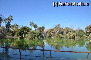 [P13] Lacul Parcului de la Ciutadella » foto by Muffin2009*
 - 
<span class="allrVoted glyphicon glyphicon-heart hidden" id="av350722"></span>
<a class="m-l-10 hidden" id="sv350722" onclick="voting_Foto_DelVot(,350722,12198)" role="button">șterge vot <span class="glyphicon glyphicon-remove"></span></a>
<a id="v9350722" class=" c-red"  onclick="voting_Foto_SetVot(350722)" role="button"><span class="glyphicon glyphicon-heart-empty"></span> <b>LIKE</b> = Votează poza</a> <img class="hidden"  id="f350722W9" src="/imagini/loader.gif" border="0" /><span class="AjErrMes hidden" id="e350722ErM"></span>