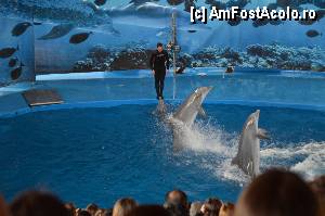 [P31] Zoo de Barcelona » foto by Muffin2009*
 - 
<span class="allrVoted glyphicon glyphicon-heart hidden" id="av350757"></span>
<a class="m-l-10 hidden" id="sv350757" onclick="voting_Foto_DelVot(,350757,12198)" role="button">șterge vot <span class="glyphicon glyphicon-remove"></span></a>
<a id="v9350757" class=" c-red"  onclick="voting_Foto_SetVot(350757)" role="button"><span class="glyphicon glyphicon-heart-empty"></span> <b>LIKE</b> = Votează poza</a> <img class="hidden"  id="f350757W9" src="/imagini/loader.gif" border="0" /><span class="AjErrMes hidden" id="e350757ErM"></span>