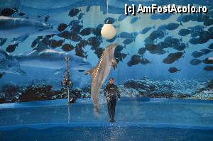 [P32] Zoo de Barcelona » foto by Muffin2009*
 - 
<span class="allrVoted glyphicon glyphicon-heart hidden" id="av350759"></span>
<a class="m-l-10 hidden" id="sv350759" onclick="voting_Foto_DelVot(,350759,12198)" role="button">șterge vot <span class="glyphicon glyphicon-remove"></span></a>
<a id="v9350759" class=" c-red"  onclick="voting_Foto_SetVot(350759)" role="button"><span class="glyphicon glyphicon-heart-empty"></span> <b>LIKE</b> = Votează poza</a> <img class="hidden"  id="f350759W9" src="/imagini/loader.gif" border="0" /><span class="AjErrMes hidden" id="e350759ErM"></span>