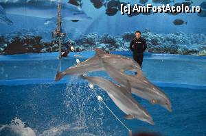 [P34] Zoo de Barcelona » foto by Muffin2009*
 - 
<span class="allrVoted glyphicon glyphicon-heart hidden" id="av350762"></span>
<a class="m-l-10 hidden" id="sv350762" onclick="voting_Foto_DelVot(,350762,12198)" role="button">șterge vot <span class="glyphicon glyphicon-remove"></span></a>
<a id="v9350762" class=" c-red"  onclick="voting_Foto_SetVot(350762)" role="button"><span class="glyphicon glyphicon-heart-empty"></span> <b>LIKE</b> = Votează poza</a> <img class="hidden"  id="f350762W9" src="/imagini/loader.gif" border="0" /><span class="AjErrMes hidden" id="e350762ErM"></span>