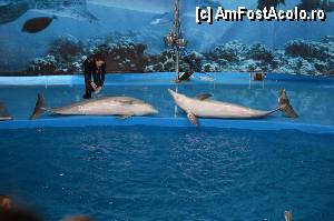 [P36] Zoo de Barcelona » foto by Muffin2009*
 - 
<span class="allrVoted glyphicon glyphicon-heart hidden" id="av350764"></span>
<a class="m-l-10 hidden" id="sv350764" onclick="voting_Foto_DelVot(,350764,12198)" role="button">șterge vot <span class="glyphicon glyphicon-remove"></span></a>
<a id="v9350764" class=" c-red"  onclick="voting_Foto_SetVot(350764)" role="button"><span class="glyphicon glyphicon-heart-empty"></span> <b>LIKE</b> = Votează poza</a> <img class="hidden"  id="f350764W9" src="/imagini/loader.gif" border="0" /><span class="AjErrMes hidden" id="e350764ErM"></span>