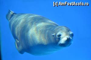 [P37] Zoo de Barcelona » foto by Muffin2009*
 - 
<span class="allrVoted glyphicon glyphicon-heart hidden" id="av350765"></span>
<a class="m-l-10 hidden" id="sv350765" onclick="voting_Foto_DelVot(,350765,12198)" role="button">șterge vot <span class="glyphicon glyphicon-remove"></span></a>
<a id="v9350765" class=" c-red"  onclick="voting_Foto_SetVot(350765)" role="button"><span class="glyphicon glyphicon-heart-empty"></span> <b>LIKE</b> = Votează poza</a> <img class="hidden"  id="f350765W9" src="/imagini/loader.gif" border="0" /><span class="AjErrMes hidden" id="e350765ErM"></span>