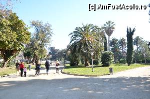 [P06] Aleile Parcului de la Ciutadella » foto by Muffin2009*
 - 
<span class="allrVoted glyphicon glyphicon-heart hidden" id="av350676"></span>
<a class="m-l-10 hidden" id="sv350676" onclick="voting_Foto_DelVot(,350676,12198)" role="button">șterge vot <span class="glyphicon glyphicon-remove"></span></a>
<a id="v9350676" class=" c-red"  onclick="voting_Foto_SetVot(350676)" role="button"><span class="glyphicon glyphicon-heart-empty"></span> <b>LIKE</b> = Votează poza</a> <img class="hidden"  id="f350676W9" src="/imagini/loader.gif" border="0" /><span class="AjErrMes hidden" id="e350676ErM"></span>