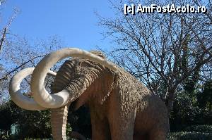 [P09] Mamutul, Parc de la Ciutadella » foto by Muffin2009*
 - 
<span class="allrVoted glyphicon glyphicon-heart hidden" id="av350710"></span>
<a class="m-l-10 hidden" id="sv350710" onclick="voting_Foto_DelVot(,350710,12198)" role="button">șterge vot <span class="glyphicon glyphicon-remove"></span></a>
<a id="v9350710" class=" c-red"  onclick="voting_Foto_SetVot(350710)" role="button"><span class="glyphicon glyphicon-heart-empty"></span> <b>LIKE</b> = Votează poza</a> <img class="hidden"  id="f350710W9" src="/imagini/loader.gif" border="0" /><span class="AjErrMes hidden" id="e350710ErM"></span>